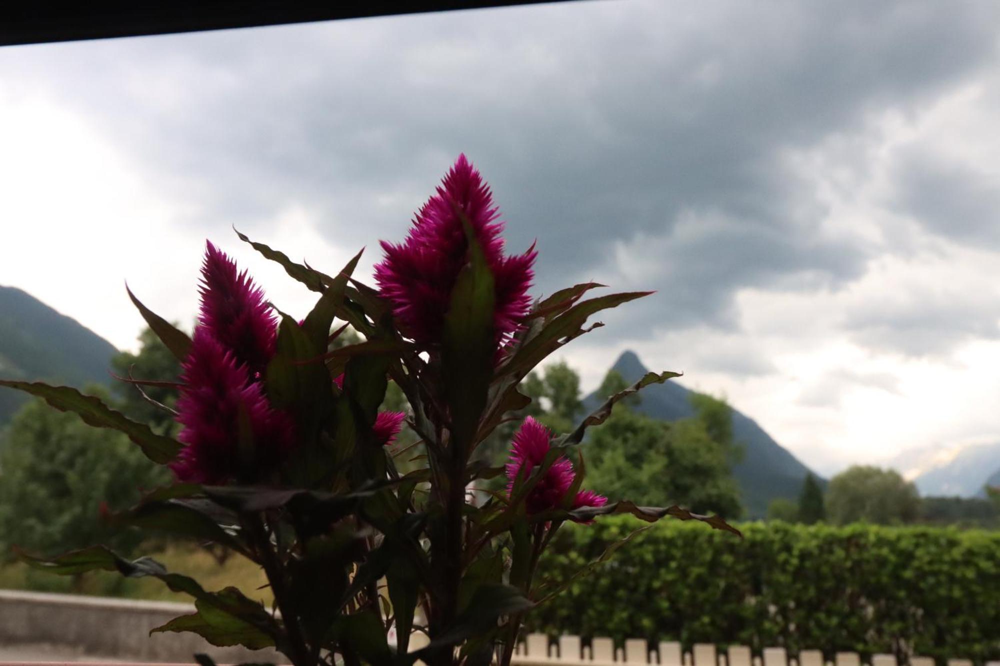 Apartma Buon Bovec Exterior foto