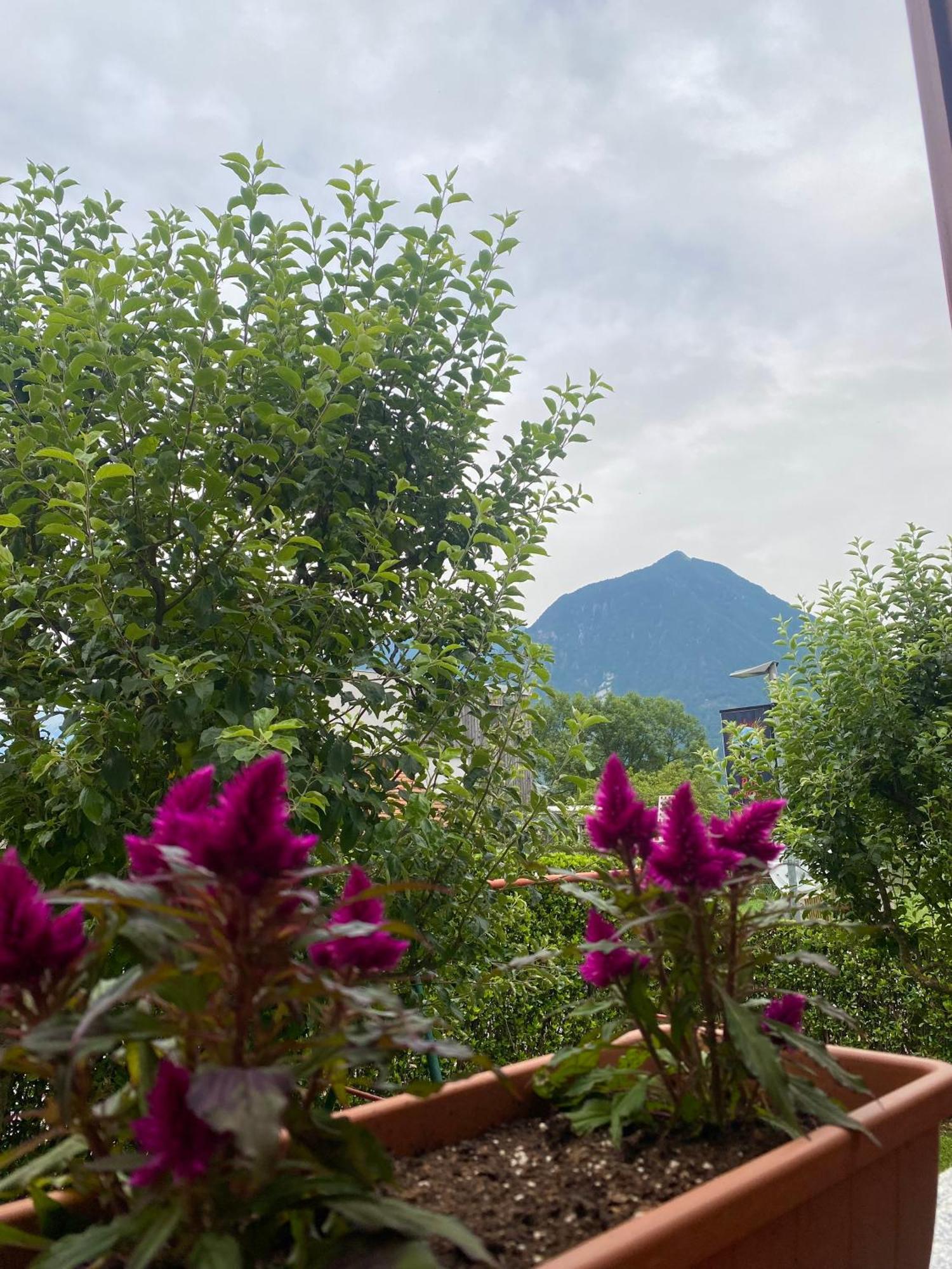Apartma Buon Bovec Exterior foto